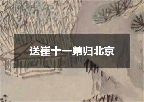 送崔十一弟归北京
