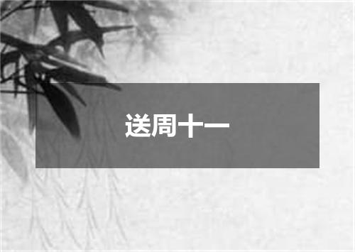 送周十一