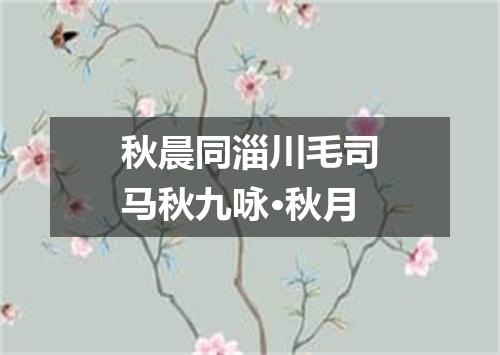 秋晨同淄川毛司马秋九咏·秋月