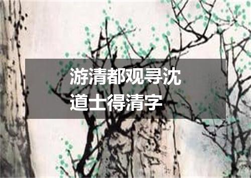 游清都观寻沈道士得清字