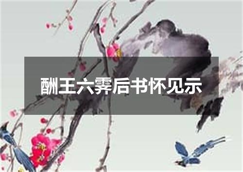 酬王六霁后书怀见示