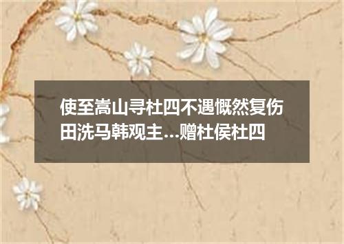 使至嵩山寻杜四不遇慨然复伤田洗马韩观主…赠杜侯杜四