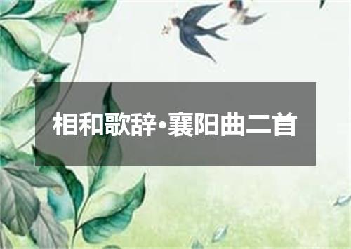 相和歌辞·襄阳曲二首