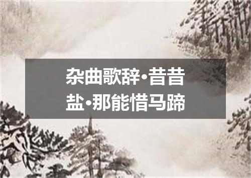 杂曲歌辞·昔昔盐·那能惜马蹄