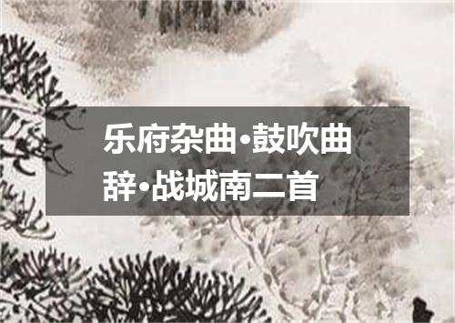 乐府杂曲·鼓吹曲辞·战城南二首