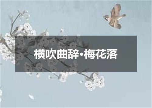 横吹曲辞·梅花落