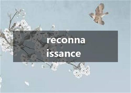 reconnaissance是什么意思