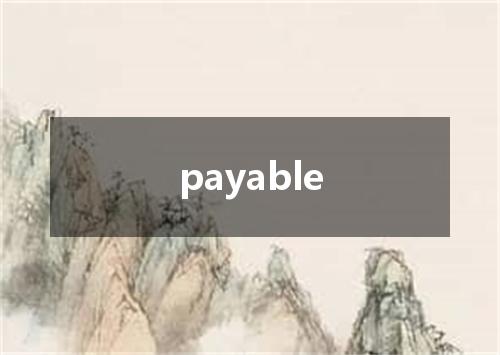 payable是什么意思
