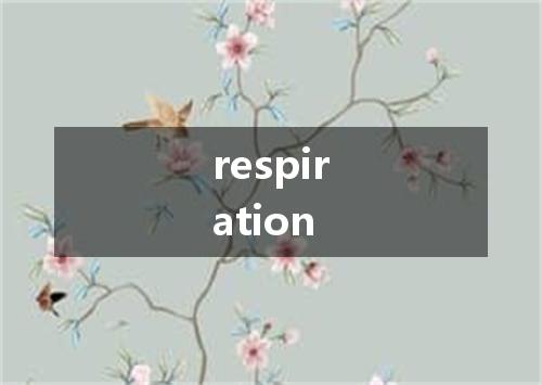 respiration是什么意思