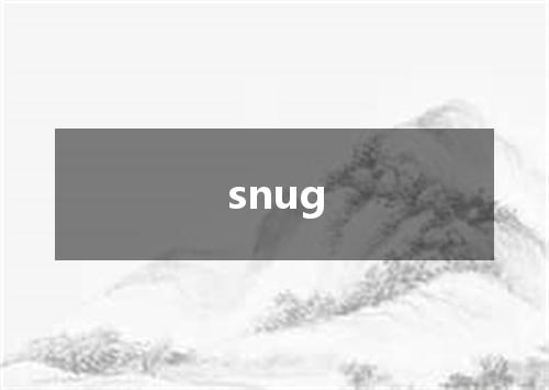 snug是什么意思