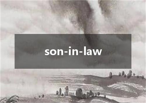 son-in-law是什么意思