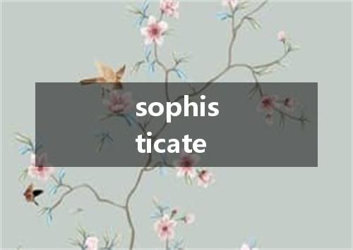 sophisticate是什么意思