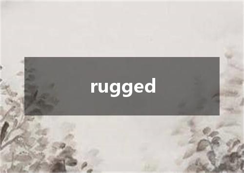 rugged是什么意思