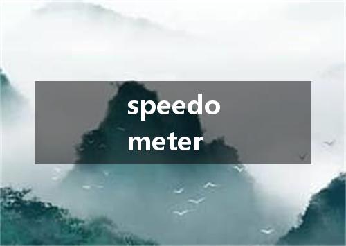 speedometer是什么意思