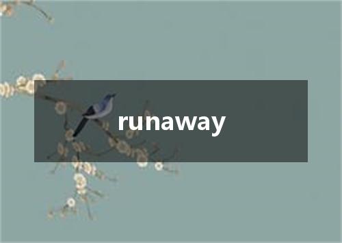 runaway是什么意思