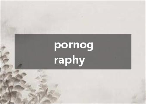 pornography是什么意思