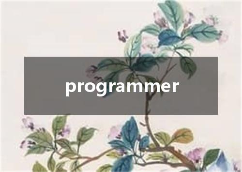 programmer是什么意思