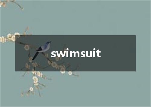 swimsuit是什么意思
