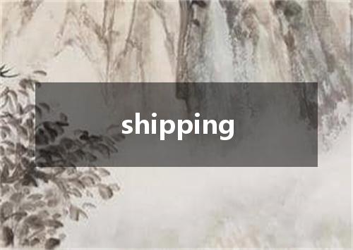 shipping是什么意思