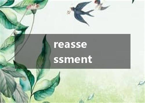 reassessment是什么意思