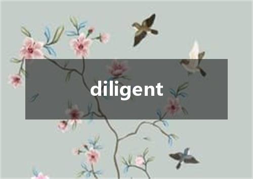 diligent是什么意思