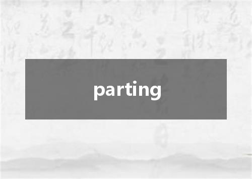 parting是什么意思