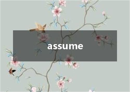 assume是什么意思