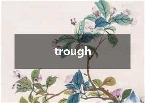 trough是什么意思