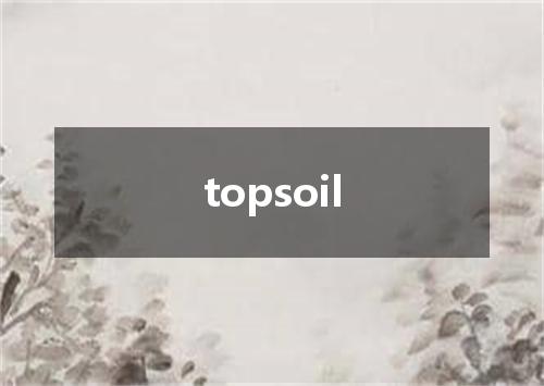 topsoil是什么意思