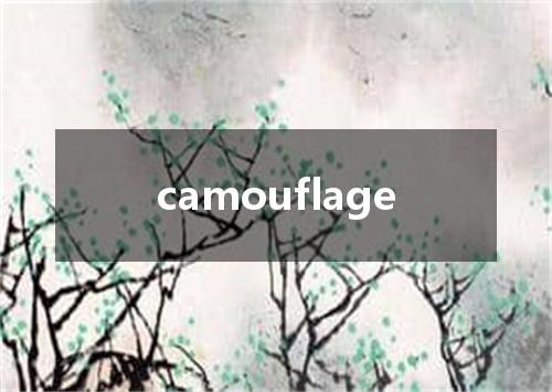 camouflage是什么意思