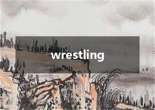 wrestling是什么意思