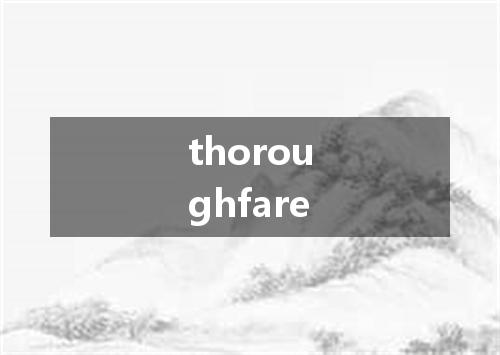 thoroughfare是什么意思