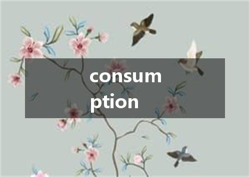 consumption是什么意思