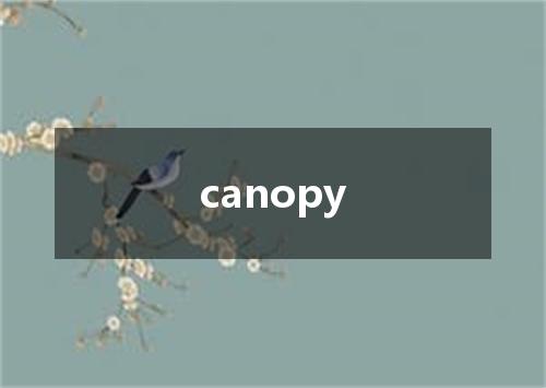 canopy是什么意思