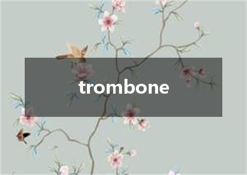 trombone是什么意思