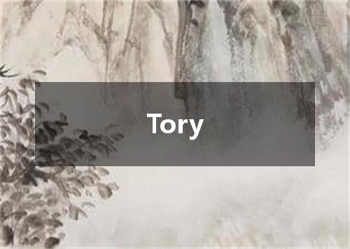 Tory是什么意思