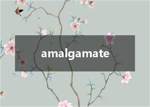 amalgamate是什么意思