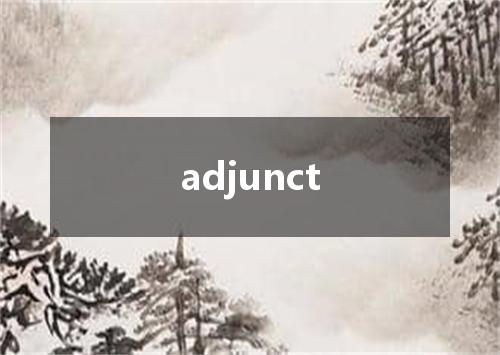 adjunct是什么意思