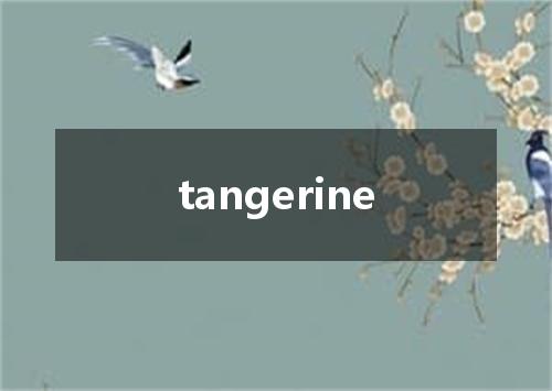 tangerine是什么意思