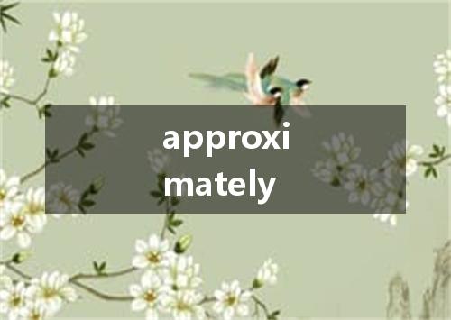 approximately是什么意思