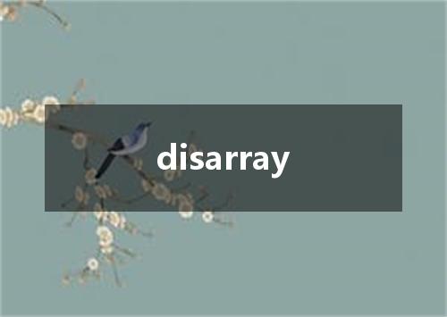 disarray是什么意思