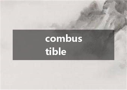 combustible是什么意思