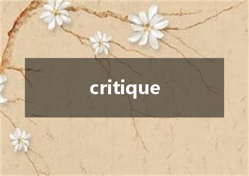 critique是什么意思