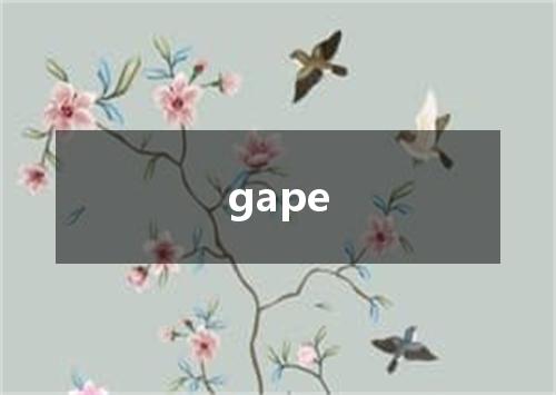 gape是什么意思