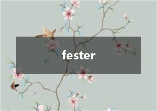 fester是什么意思
