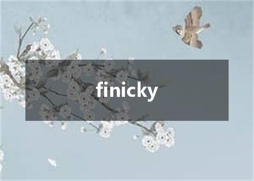 finicky是什么意思