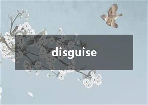 disguise是什么意思