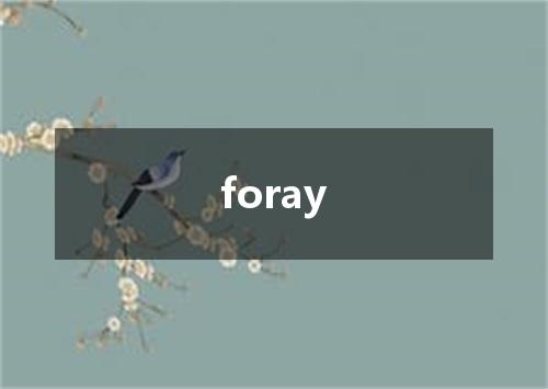 foray是什么意思