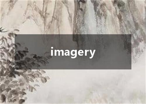 imagery是什么意思