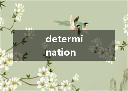 determination是什么意思